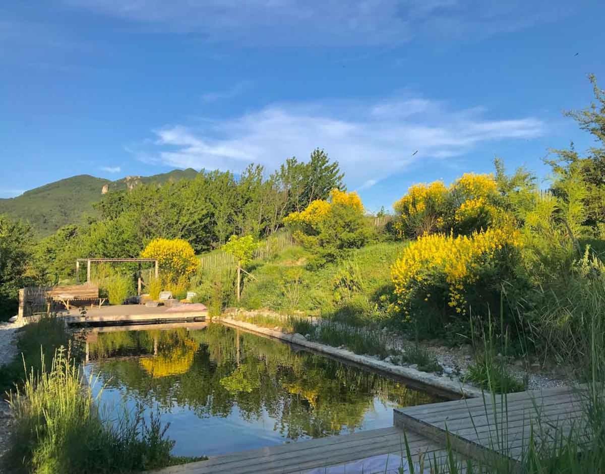 Puy-Saint-MartinLa Demoiselle别墅 外观 照片